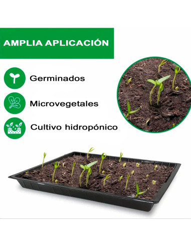 Tradineur - Pack de 5 bandejas de plástico para cultivos, bandejas de germinación, semillero, crecimiento, propagación, semillas