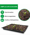 Tradineur - Pack de 5 bandejas de plástico para cultivos, bandejas de germinación, semillero, crecimiento, propagación, semillas