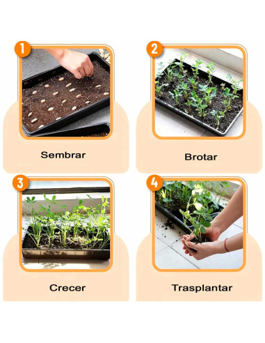 Tradineur - Pack de 5 bandejas de plástico para cultivos, bandejas de germinación, semillero, crecimiento, propagación, semillas