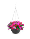 Tradineur - Maceta redonda colgante, plástico, macetero, tiesto, recipiente para plantas, flores, balcón, terraza, hogar, fabric