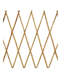Tradineur - Celosía extensible de bambú, estructura para plantas trepadoras, decoración de jardines, separación de espacios, int