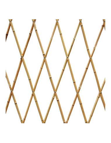 Tradineur - Celosía extensible de bambú, estructura para plantas trepadoras, decoración de jardines, separación de espacios, int