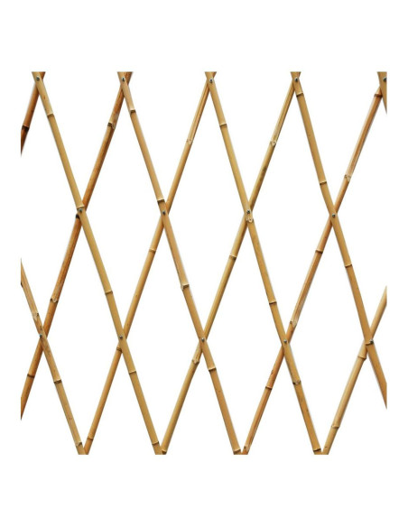 Tradineur - Celosía extensible de bambú, estructura para plantas trepadoras, decoración de jardines, separación de espacios, int