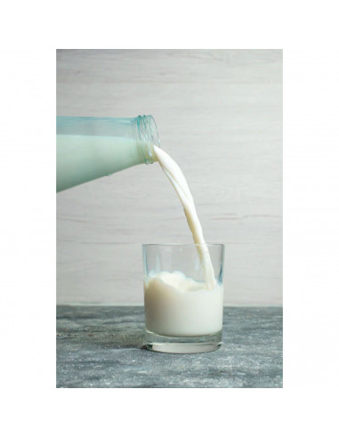 Tradineur - Pack de 4 botellas de cristal para leche, bote para bebidas con tapa de rosca, batidos, zumos, licuados de verduras,