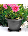 Tradineur - Maceta Redonda "Terracota" - Fabricado en Plástico - Macetero apto para Exterior e Interior del hogar - Ø 25 cm - Co