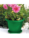 Tradineur - Maceta Redonda "Terracota" - Fabricado en Plástico - Macetero apto para Exterior e Interior del hogar - Ø 50 cm - Co