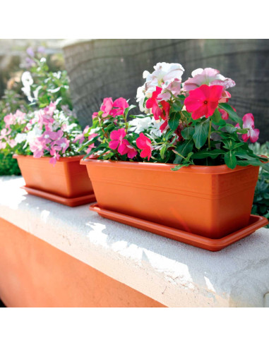 Tradineur - Jardinera con plato Rectangular "Terracota" - PLFT - Fabricado en Plástico - Macetero apto para Exterior e Interior