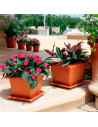Tradineur - Maceta Cuadrada con plato "Terracota" - Fabricado en Plástico - Macetero apto para Exterior e Interior del hogar - 3