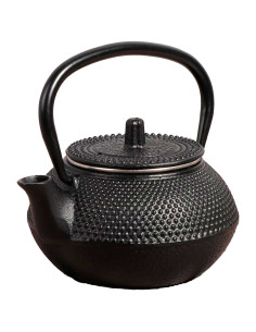 Tradineur - Tetera japonesa de 600 ml - Fabricado en Hierro Fundido - Dispone de filtro - Dispone de fondo especial para vitro -