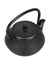Tradineur - Tetera japonesa de 600 ml - Fabricado en Hierro Fundido - Dispone de filtro - Dispone de fondo especial para vitro -