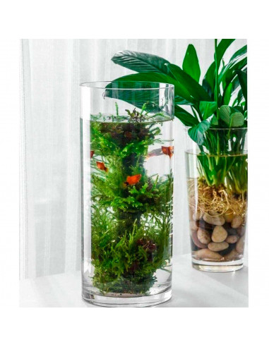 Jarrón de cristal cilíndrico decorativo 38,5 x 15 cm, florero tubular transparente, sencillo, moderno para decorar el interior d