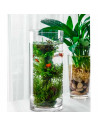 Jarrón de cristal cilíndrico decorativo 38,5 x 15 cm, florero tubular transparente, sencillo, moderno para decorar el interior d