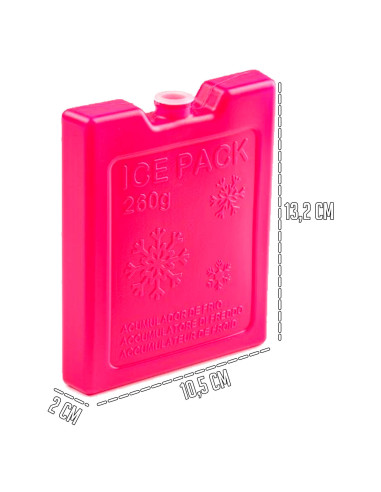 Tradineur - Pack de 4 Acumuladores de Frío N.º 5 - 260 G - Fabricado en Plástico - Ideal para mantener la temperatura en tu neve