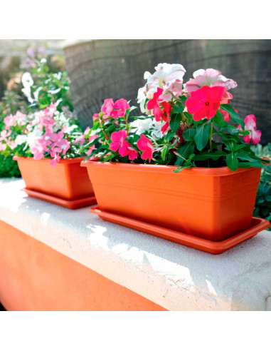 Tradineur - Jardinera con plato Rectangular "Terracota" - PLFT - Fabricado en Plástico - Macetero apto para Exterior e Interior