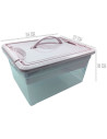 Tradineur - Caja de Almacenamiento con Bandeja interior y Asa - N.º 9 - 12 Litros - Fabricado en Plástico - Cierre Hermético y S