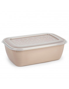 Tradineur - Fiambrera Rectangular con tapa - Fabricado en Plástico - Capacidad de 4 Litros - Apta para microondas y lavavajillas