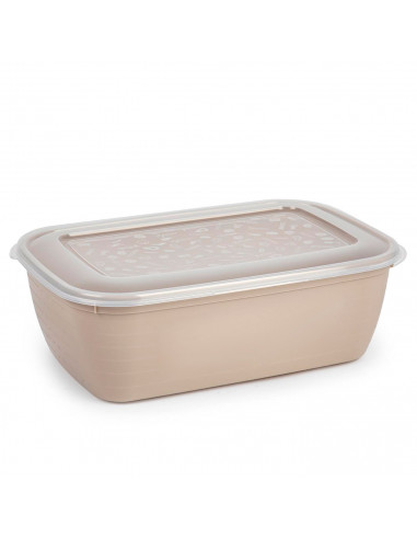Tradineur - Fiambrera Rectangular con tapa - Fabricado en Plástico - Capacidad de 4 Litros - Apta para microondas y lavavajillas