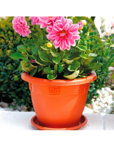 Tradineur - Maceta Redonda "Terracota" - Fabricado en Plástico - Macetero apto para Exterior e Interior del hogar - 35 cm - Colo
