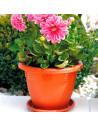 Tradineur - Maceta Redonda "Terracota" - Fabricado en Plástico - Macetero apto para Exterior e Interior del hogar - 35 cm - Colo