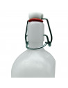 Tradineur - Pack de 6 botellas de plástico con asa y tapón a presión, reutilizable, agua, leche, batidos, zumos, refrescos, frig