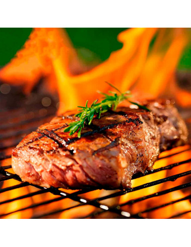 Tradineur - Parrilla Doble para barbacoas - Fabricada en Acero - Fácil Limpieza y Apta para uso alimentario - 30 x 35 cm