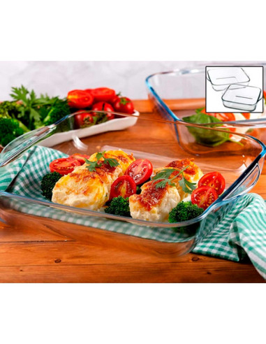 Tradineur - Set de 2 bandejas cuadradas para horno, vidrio borosilicato, fuente, molde transparente, lasaña, aptas para microond