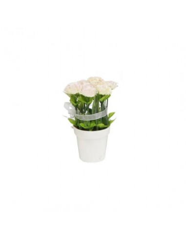Tradineur - Planta artificial con maceta 7 x 14 cm (ancho x altura) color surtido ideal para decoración del hogar