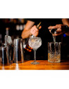 Tradineur - Set de 6 copas de cristal, modelo Ambassador, servir cubatas, cócteles, champán, elegantes, aptas para lavavajillas