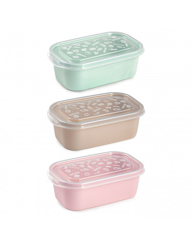 Tradineur - Pack de 2 Fiambreras Pastel con tapa decorada - Fabricado en Plástico - Apta para microondas y lavavajillas - 6 x 17