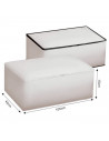 Tradineur - Organizador rectangular de peva, caja plegable con cremallera, ordenación, ropa, armario, almacenamiento, 105 x 45 x