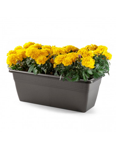 Tradineur - Jardinera modelo PLFT de plástico, polipropileno, tiesto, macetero, recipiente para plantas, flores, balcón, terraza