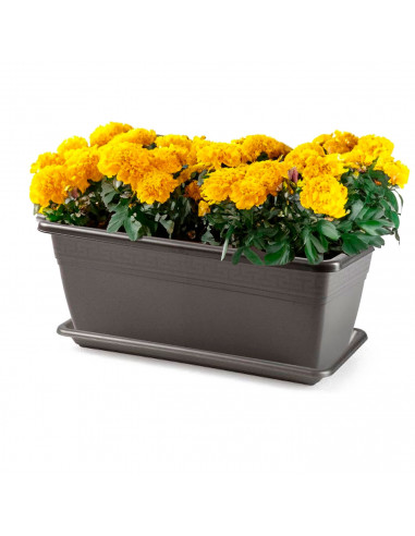 Tradineur - Jardinera con plato terracota - PLFT - Fabricado en Plástico - Macetero apto para Exterior e Interior del hogar - 40