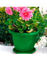 Tradineur - Maceta Redonda "Terracota" - Fabricado en Plástico - Macetero apto para Exterior e Interior del hogar - Ø 30 cm - Co