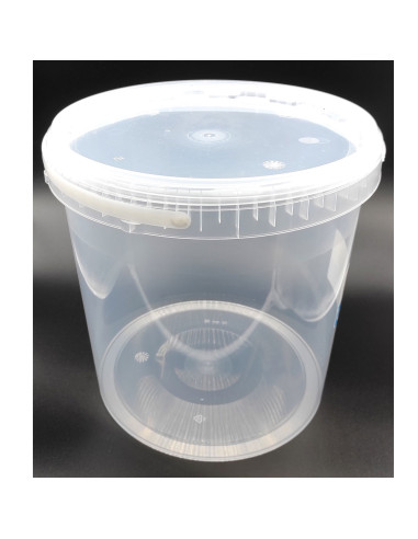 Tradineur - Cubo transparente de plástico con tapa y asa, apto para uso alimentario, hermético y estable, fabricado en España -