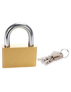Tradineur - Candado de latón con 3 llaves, arco bajo de acero endurecido, máxima seguridad, taquillas, gimnasio, maleta, armario