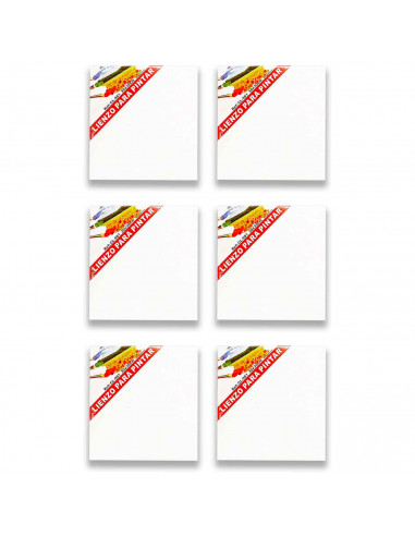 Pack 6 Lienzos blancos para pintar 100% algodón sin ácidos alta calidad 30 x 30 cm ideal para pintores y artistas