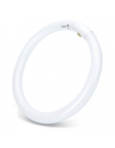 Tradineur - T9 Tubo circular fluorescente G10q, 32W, luz fria 6500K, 230V, 2100lm, 50Hz, diámetro 30 cm