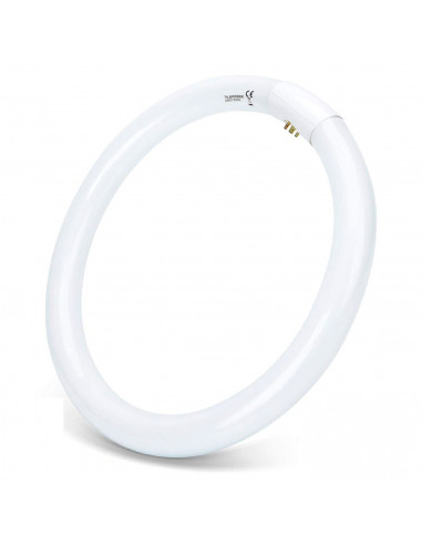 Tradineur - T9 Tubo circular fluorescente G10q, 32W, luz fria 6500K, 230V, 2100lm, 50Hz, diámetro 30 cm