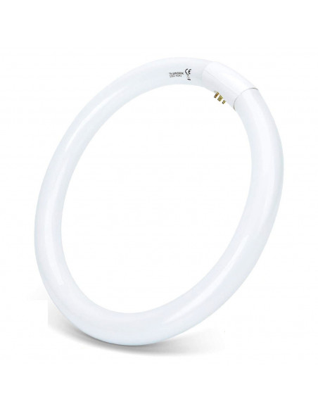 Tradineur - T9 Tubo circular fluorescente G10q, 32W, luz fria 6500K, 230V, 2100lm, 50Hz, diámetro 30 cm Tradineur - T9 Tubo circular fluorescente G10q, 32W, luz fria 6500K, 230V, 2100lm, 50Hz, diámetro 30 cm