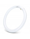 Tradineur - T9 Tubo circular fluorescente G10q, 32W, luz fria 6500K, 230V, 2100lm, 50Hz, diámetro 30 cm