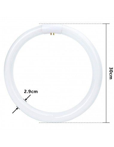 Tradineur - T9 Tubo circular fluorescente G10q, 32W, luz fria 6500K, 230V, 2100lm, 50Hz, diámetro 30 cm