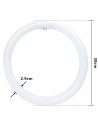 Tradineur - T9 Tubo circular fluorescente G10q, 32W, luz fria 6500K, 230V, 2100lm, 50Hz, diámetro 30 cm