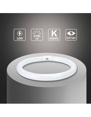 Tradineur - T9 Tubo circular fluorescente G10q, 32W, luz fria 6500K, 230V, 2100lm, 50Hz, diámetro 30 cm
