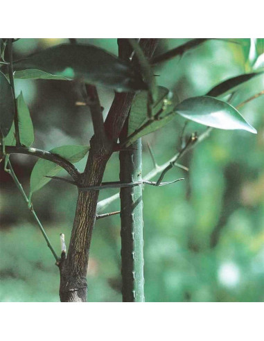 La Bolata - Pack 12 varillas, tutores de acero plastificado para plantas, soporte de  plantas, cañas jardín, estacas de planta,