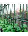 La Bolata - Pack 12 varillas, tutores de acero plastificado para plantas, soporte de  plantas, cañas jardín, estacas de planta,