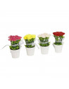 Tradineur -  Pack de unidades 4 de plantas artificiales con maceta 7 x 14 cm (ancho x altura) color aleatorio ideal para decorac