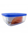 Fiambrera cuadrada de vidrio 15 x 15 x 6,2 cm, modelo Igloo, tapa de plástico azul, recipiente para alimentos apto para lavavaji