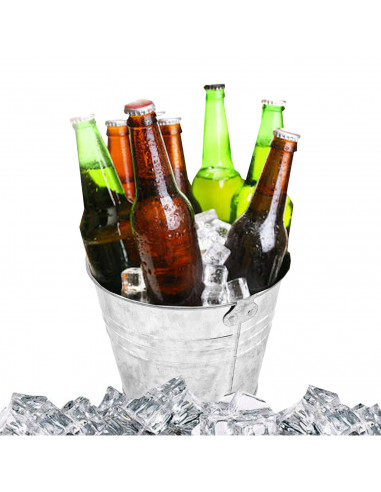 Cubo de metal con asa 12 litros, cubo metálico multiusos 24,8 x 29,5 x 28,8 cm, recipiente para limpieza, jardinería, maceta red
