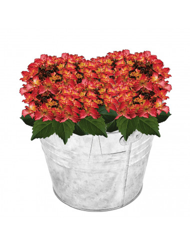 Cubo de metal con asa 15 litros, cubo metálico multiusos 28,2 x 31,5 x 31,3 cm, recipiente para limpieza, jardinería, maceta red