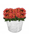 Cubo de metal con asa 15 litros, cubo metálico multiusos 28,2 x 31,5 x 31,3 cm, recipiente para limpieza, jardinería, maceta red